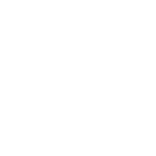 StepX Detailing